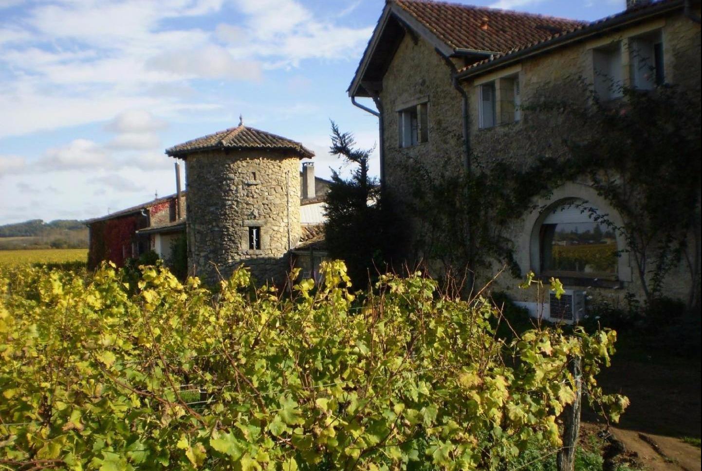 Visite de cave, Saint Macaire